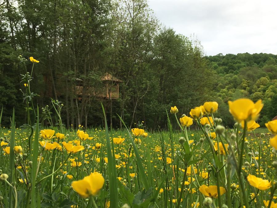 Les Cabanes du Moulin, photo 6