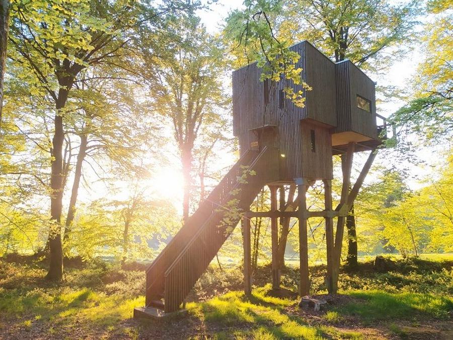 L'Étape en Forêt, photo 2